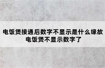 电饭煲接通后数字不显示是什么缘故 电饭煲不显示数字了